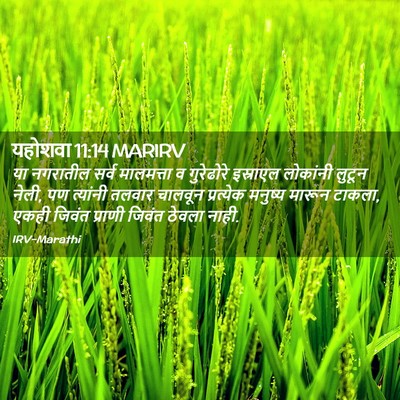 Picture 02 - यहोशवा 11:14 MARIRV - या नगरातील सर्व - Bible Verse Picture