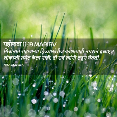 Picture 02 - यहोशवा 11:19 MARIRV - गिबोनात राहणाऱ्या - Bible Verse Picture