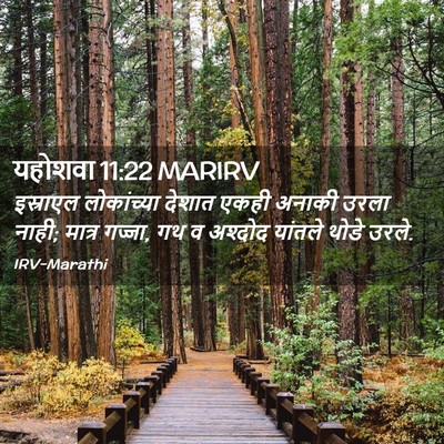 Picture 02 - यहोशवा 11:22 MARIRV - इस्राएल लोकांच्या - Bible Verse Picture