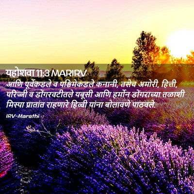 Picture 02 - यहोशवा 11:3 MARIRV - आणि पूर्वेकडले व - Bible Verse Picture