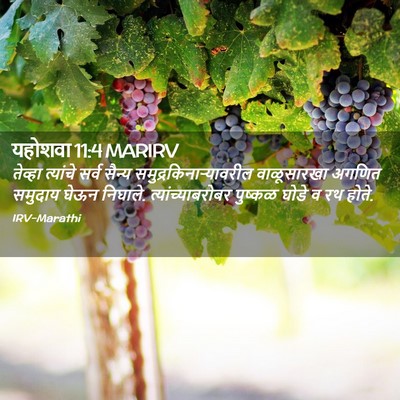 Picture 02 - यहोशवा 11:4 MARIRV - तेव्हा त्यांचे - Bible Verse Picture
