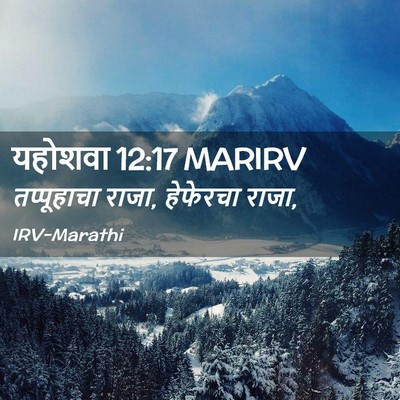 Picture 02 - यहोशवा 12:17 MARIRV - तप्पूहाचा राजा, - Bible Verse Picture