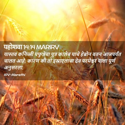 Picture 02 - यहोशवा 14:14 MARIRV - यास्तव कनिज्जी - Bible Verse Picture