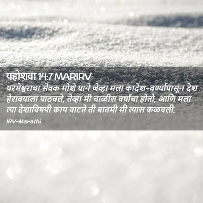 Picture 02 - यहोशवा 14:7 MARIRV - परमेश्वराचा सेवक - Bible Verse Picture