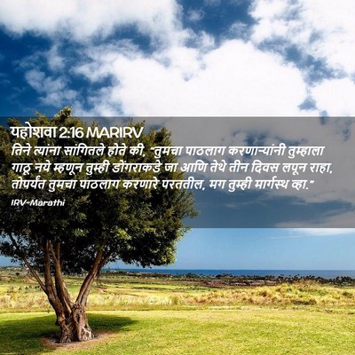 Picture 02 - यहोशवा 2:16 MARIRV - तिने त्यांना - Bible Verse Picture