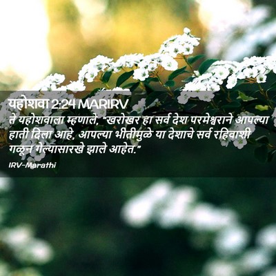 Picture 02 - यहोशवा 2:24 MARIRV - ते यहोशवाला - Bible Verse Picture