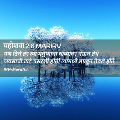 Picture 02 - यहोशवा 2:6 MARIRV - पण तिने तर त्या - Bible Verse Picture