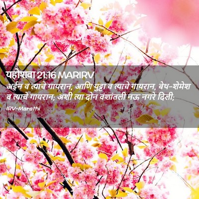 Picture 02 - यहोशवा 21:16 MARIRV - अईन व त्याचे - Bible Verse Picture