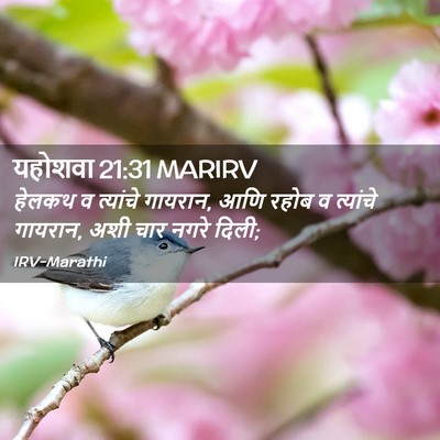 Picture 02 - यहोशवा 21:31 MARIRV - हेलकथ व त्यांचे - Bible Verse Picture