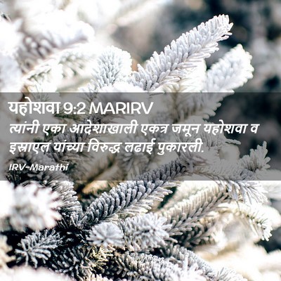 Picture 02 - यहोशवा 9:2 MARIRV - त्यांनी एका - Bible Verse Picture