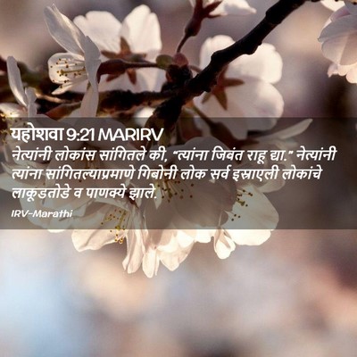 Picture 02 - यहोशवा 9:21 MARIRV - नेत्यांनी लोकांस - Bible Verse Picture
