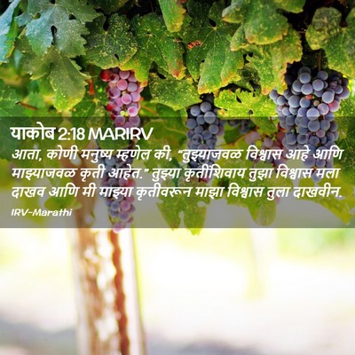 Picture 02 - याकोब 2:18 MARIRV - आता, कोणी मनुष्य - Bible Verse Picture
