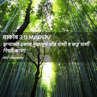 Picture 02 - याकोब 3:11 MARIRV - झर्‍याच्या एकाच - Bible Verse Picture