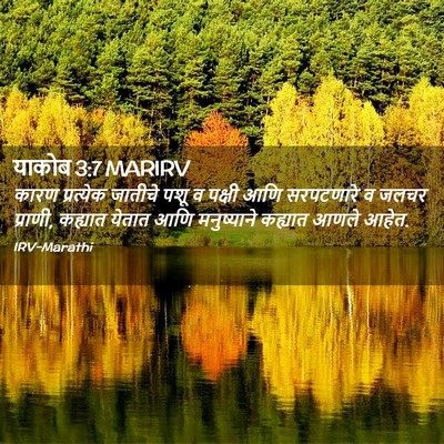 Picture 02 - याकोब 3:7 MARIRV - कारण प्रत्येक - Bible Verse Picture