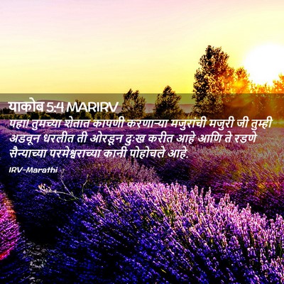 Picture 02 - याकोब 5:4 MARIRV - पहा! तुमच्या शेतात - Bible Verse Picture