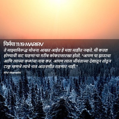 Picture 02 - यिर्मया 11:19 MARIRV - ते माझ्याविरूद्ध - Bible Verse Picture