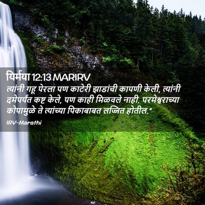 Picture 02 - यिर्मया 12:13 MARIRV - त्यांनी गहू पेरला - Bible Verse Picture