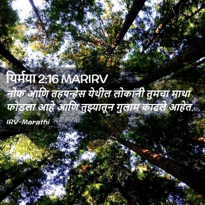 Picture 02 - यिर्मया 2:16 MARIRV - नोफ आणि तहपन्हेस - Bible Verse Picture