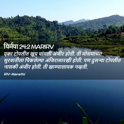 Picture 02 - यिर्मया 24:2 MARIRV - एका टोपलीत खूप - Bible Verse Picture