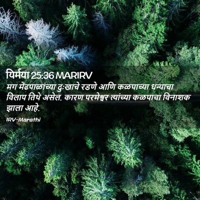 Picture 02 - यिर्मया 25:36 MARIRV - मग मेंढपाळांच्या - Bible Verse Picture