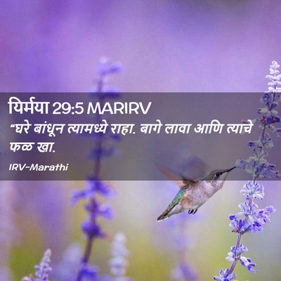 Picture 02 - यिर्मया 29:5 MARIRV - “घरे बांधून - Bible Verse Picture