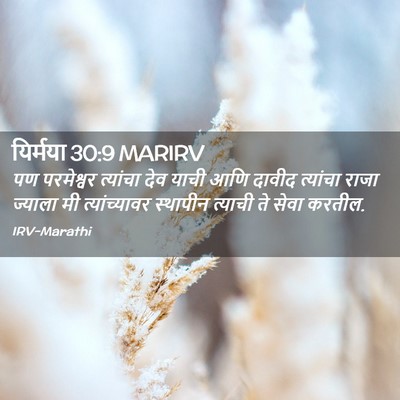 Picture 02 - यिर्मया 30:9 MARIRV - पण परमेश्वर - Bible Verse Picture