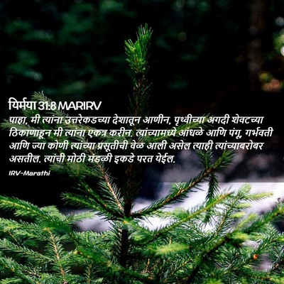 Picture 02 - यिर्मया 31:8 MARIRV - पाहा, मी त्यांना - Bible Verse Picture