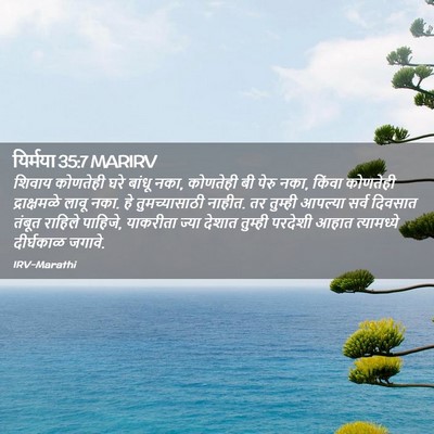 Picture 02 - यिर्मया 35:7 MARIRV - शिवाय कोणतेही घरे - Bible Verse Picture