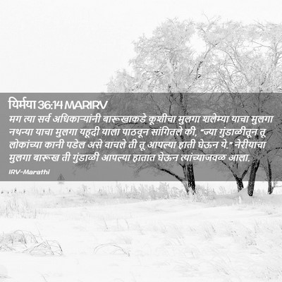 Picture 02 - यिर्मया 36:14 MARIRV - मग त्या सर्व - Bible Verse Picture
