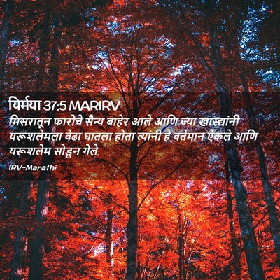Picture 02 - यिर्मया 37:5 MARIRV - मिसरातून फारोचे - Bible Verse Picture