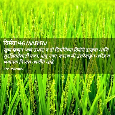 Picture 02 - यिर्मया 4:6 MARIRV - खुण म्हणून ध्वज - Bible Verse Picture
