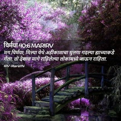 Picture 02 - यिर्मया 40:6 MARIRV - मग यिर्मया, मिस्पा - Bible Verse Picture
