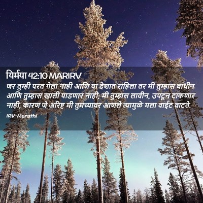 Picture 02 - यिर्मया 42:10 MARIRV - जर तुम्ही परत गेला - Bible Verse Picture