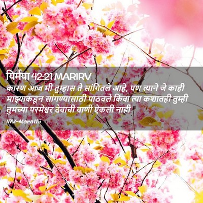 Picture 02 - यिर्मया 42:21 MARIRV - कारण आज मी तुम्हास - Bible Verse Picture