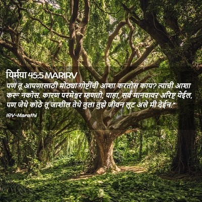 Picture 02 - यिर्मया 45:5 MARIRV - पण तू आपणासाठी - Bible Verse Picture