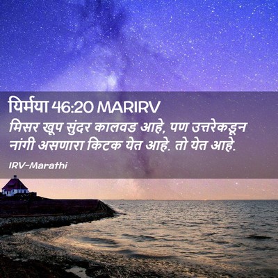 Picture 02 - यिर्मया 46:20 MARIRV - मिसर खूप सुंदर - Bible Verse Picture