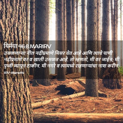 Picture 02 - यिर्मया 46:8 MARIRV - उसळणाऱ्या नील - Bible Verse Picture