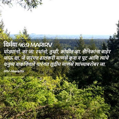 Picture 02 - यिर्मया 46:9 MARIRV - घोड्यांनो, वर जा. - Bible Verse Picture