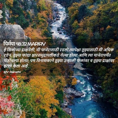 Picture 02 - यिर्मया 48:32 MARIRV - हे सिब्मेच्या - Bible Verse Picture