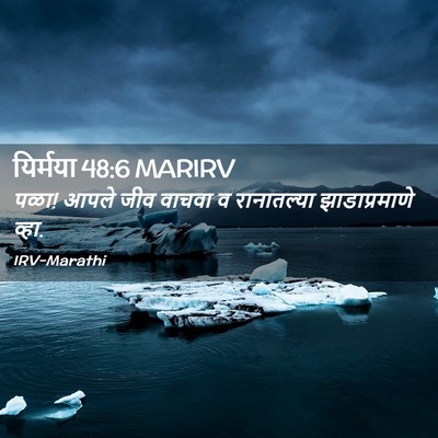Picture 02 - यिर्मया 48:6 MARIRV - पळा! आपले जीव वाचवा - Bible Verse Picture
