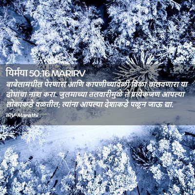 Picture 02 - यिर्मया 50:16 MARIRV - बाबेलामधील - Bible Verse Picture