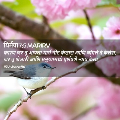 Picture 02 - यिर्मया 7:5 MARIRV - कारण जर तू आपला - Bible Verse Picture