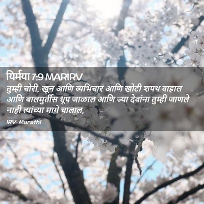 Picture 02 - यिर्मया 7:9 MARIRV - तुम्ही चोरी, खून - Bible Verse Picture