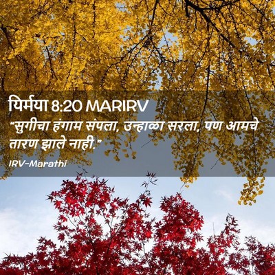 Picture 02 - यिर्मया 8:20 MARIRV - “सुगीचा हंगाम - Bible Verse Picture