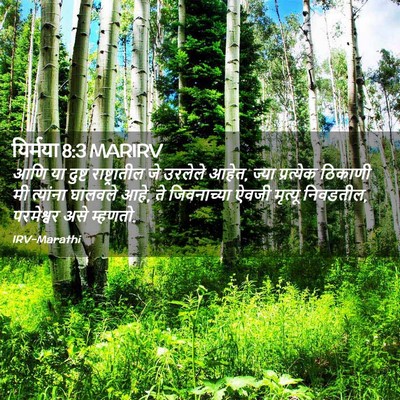 Picture 02 - यिर्मया 8:3 MARIRV - आणि या दुष्ट - Bible Verse Picture