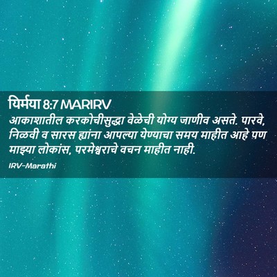 Picture 02 - यिर्मया 8:7 MARIRV - आकाशातील - Bible Verse Picture