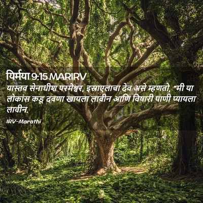 Picture 02 - यिर्मया 9:15 MARIRV - यास्तव सेनाधीश - Bible Verse Picture