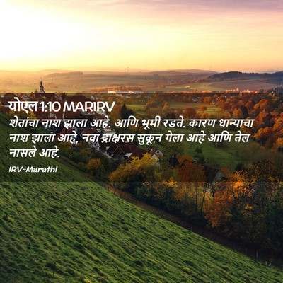 Picture 02 - योएल 1:10 MARIRV - शेतांचा नाश झाला - Bible Verse Picture