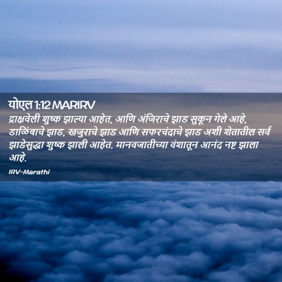 Picture 02 - योएल 1:12 MARIRV - द्राक्षवेली शुष्क - Bible Verse Picture