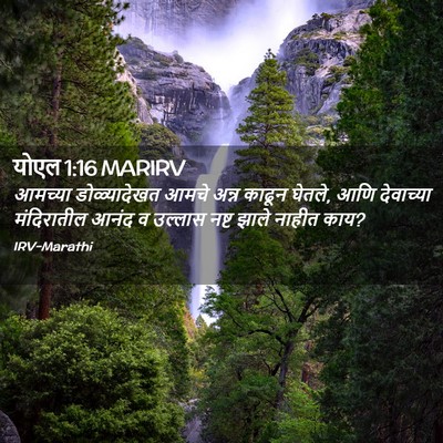 Picture 02 - योएल 1:16 MARIRV - आमच्या डोळ्यादेखत - Bible Verse Picture